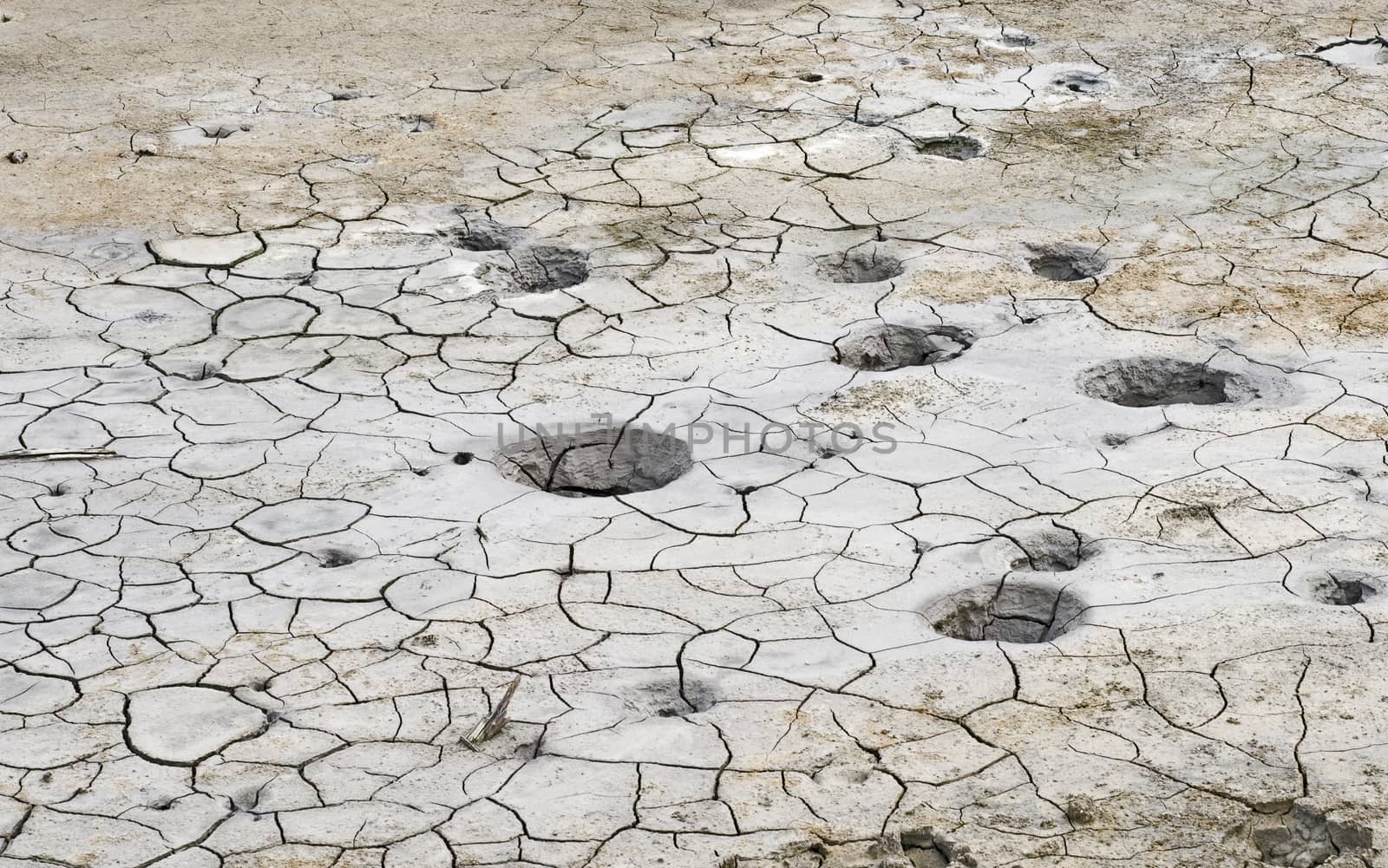 Holes in the Mud Volcano Group of Yellowstone National Park, Wyoming