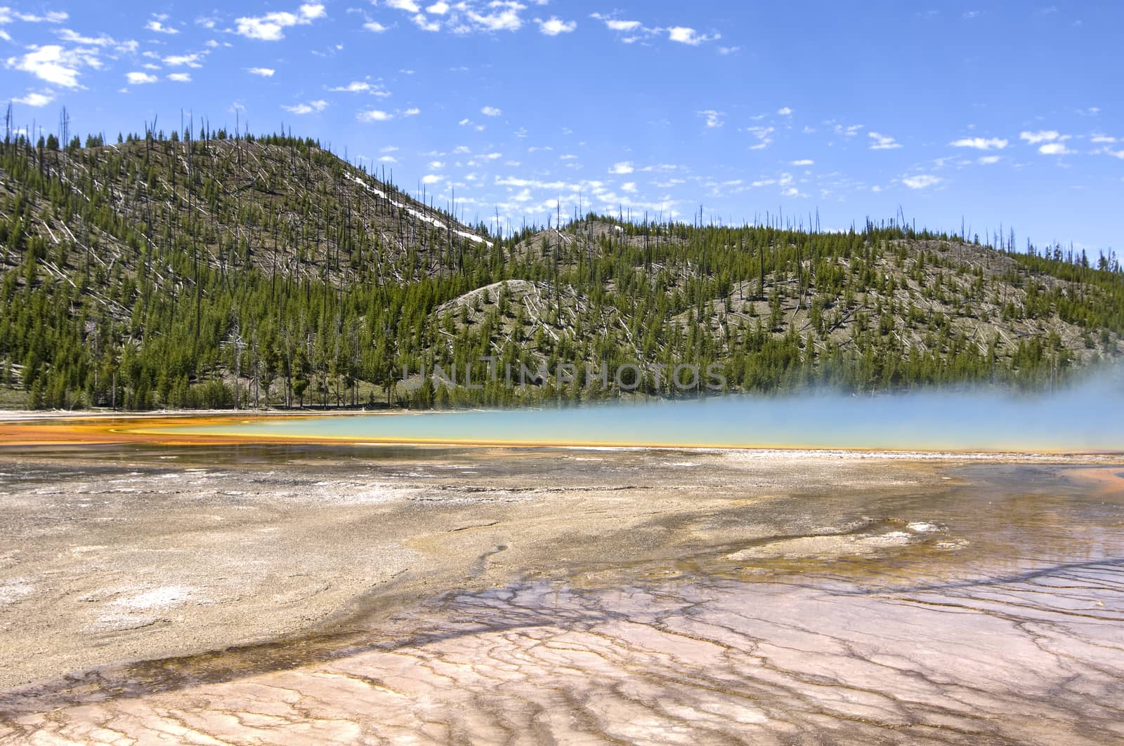 Grand Prismatic Spring as they  walking along path in Midway Gey by Njean