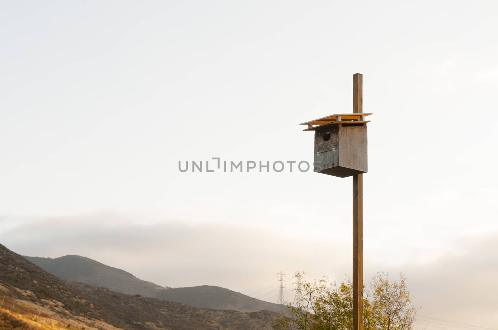 Birdhouse in nature park by Njean