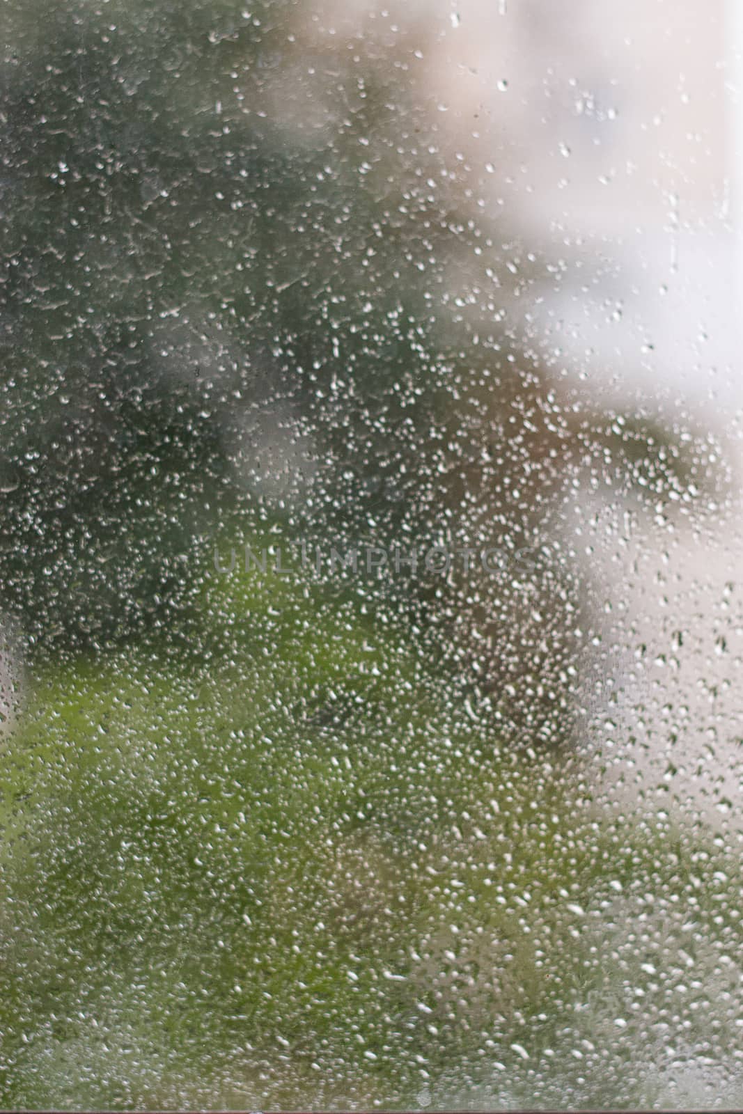 Rain drops on a window by victosha