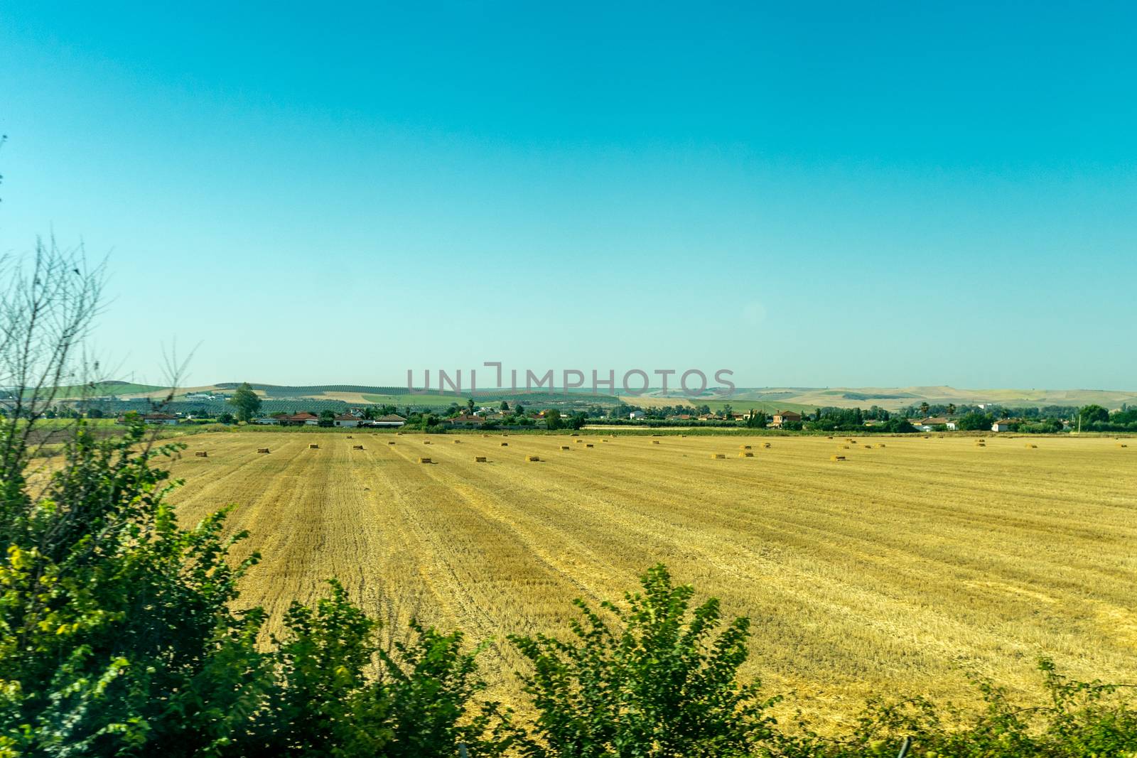 Bale of Hay on a field on the outskirts of Cordoba, Spain, Europ by ramana16