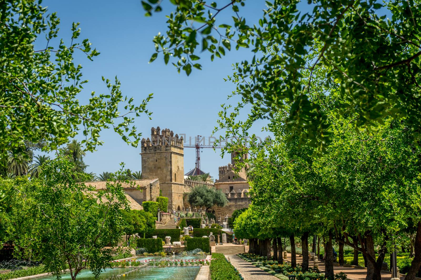 The jardines, royal garden of the Alcazar de los Reyes Cristianos, Cordoba, Spain, Europe