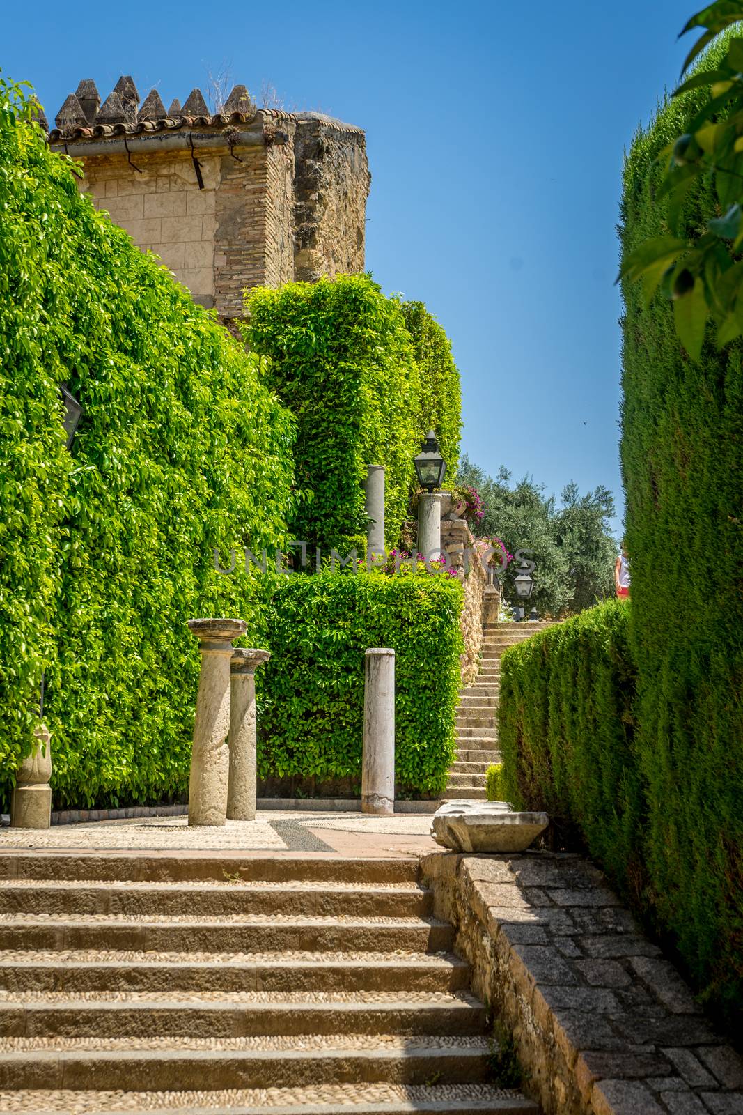 Artful decorated steps in the jardines, royal garden of the Alca by ramana16