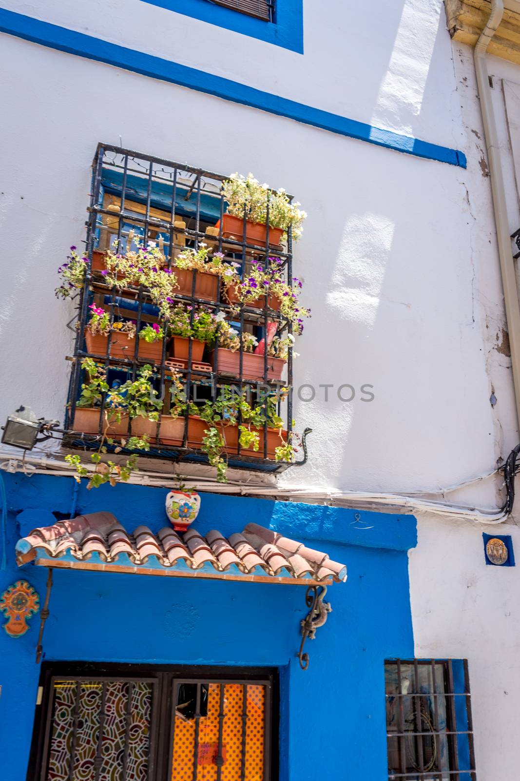 A garden in a balcony on the streets of Cordoba, Spain, Europe