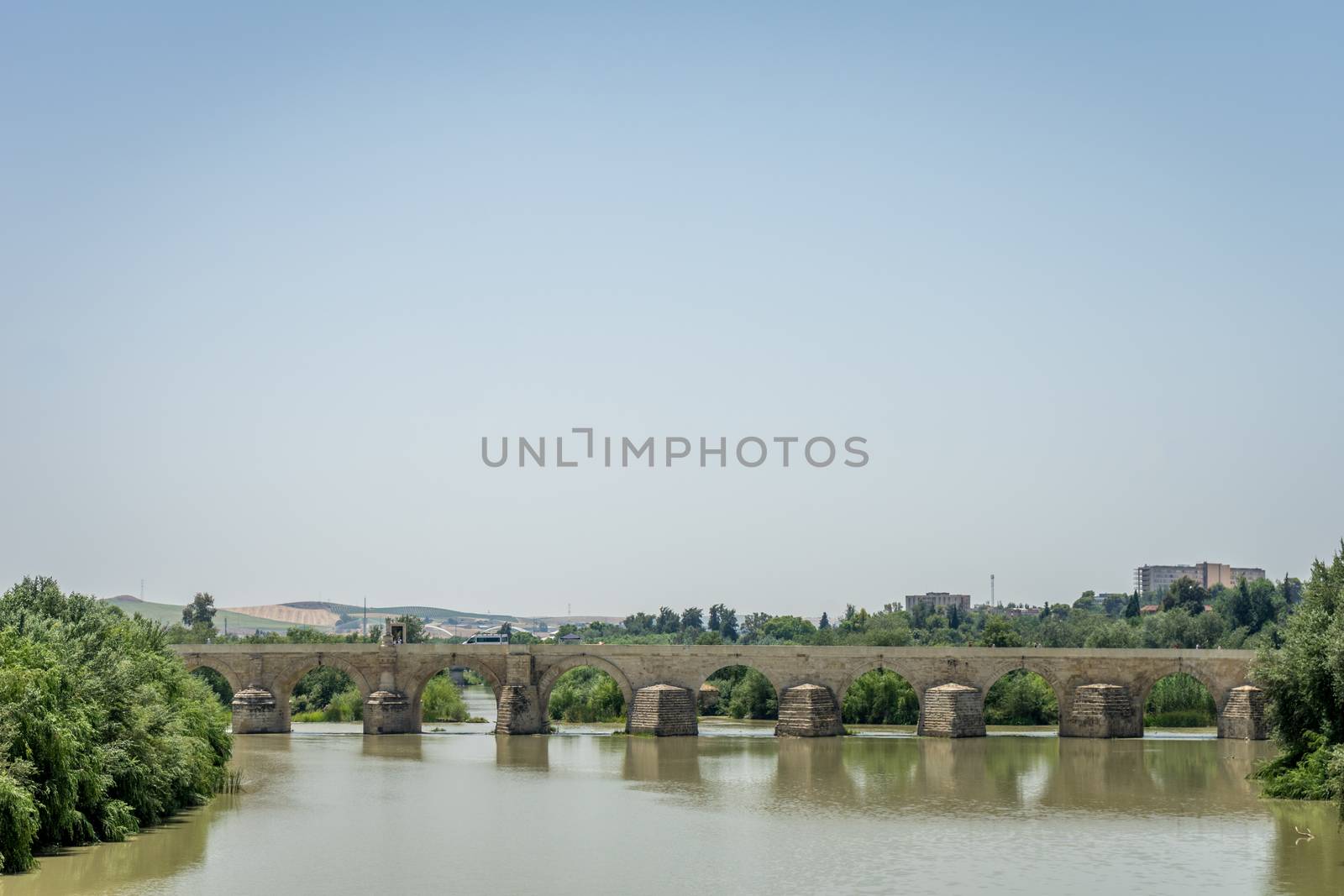 The Roman bridge of Cordoba on the Guadalquivir river by ramana16