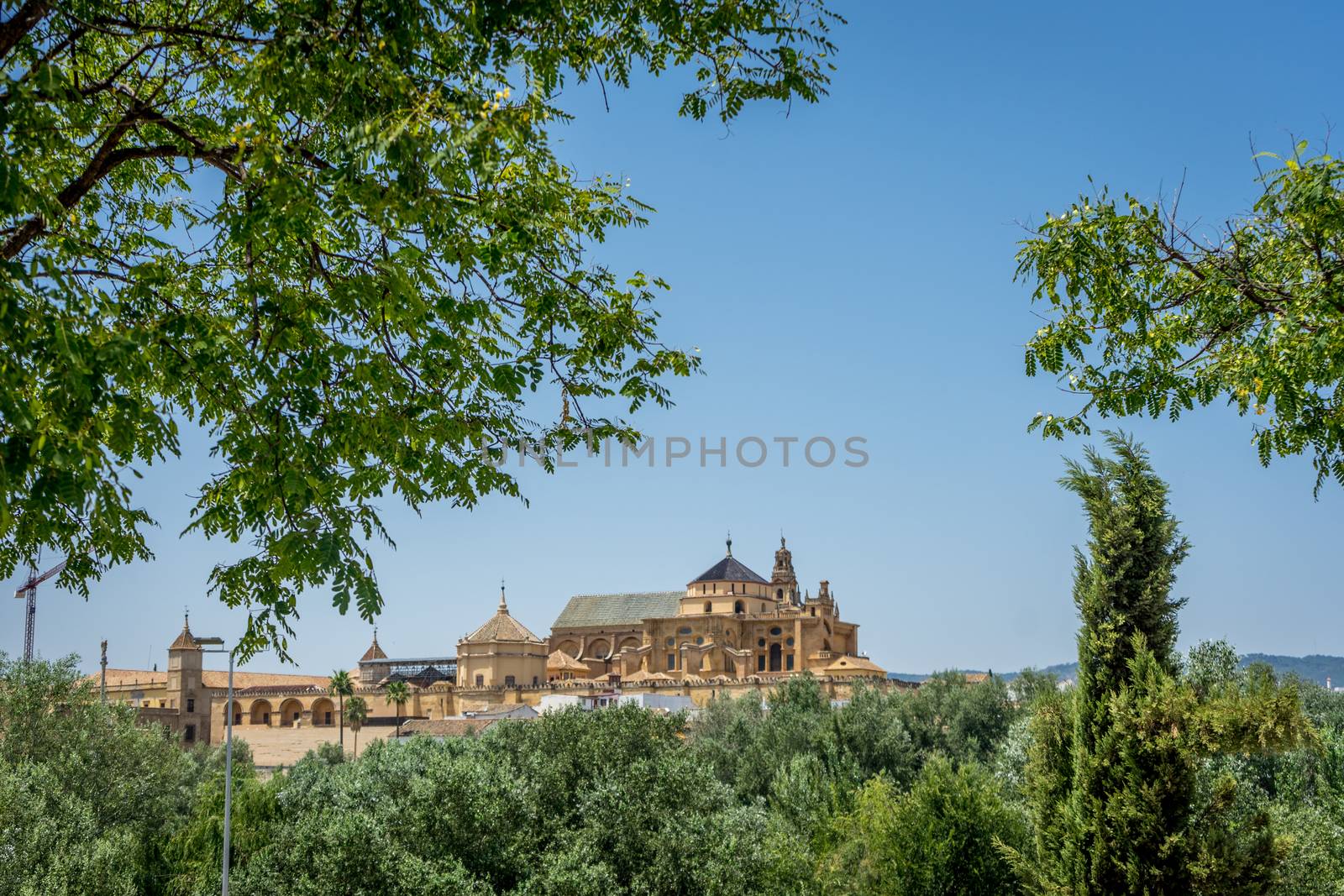 The Mezquita de Córdoba,the Great Mosque of Córdoba, Mosque-Cathedral,Mezquita from other side of river