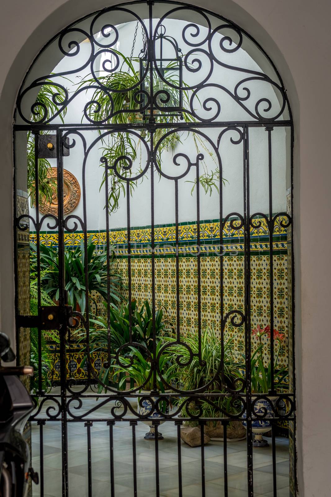 Inside view of the patio of a guest house in Cordoba, Spain, Eur by ramana16