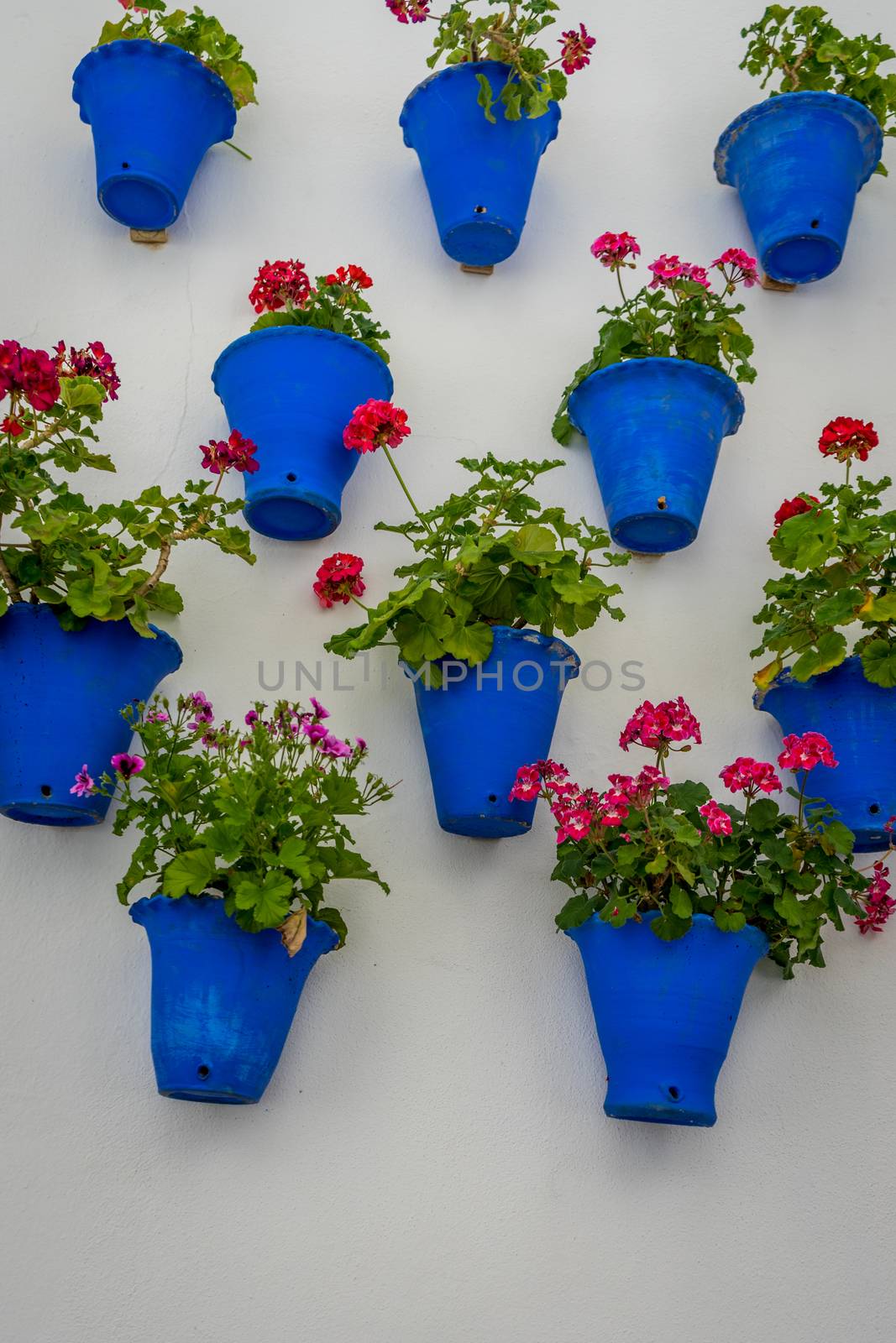 Beautiful White Walls Decorated with Colorful Flowers - Old European Town, Flower Street or Calleja de las Flores in Cordoba, Spain