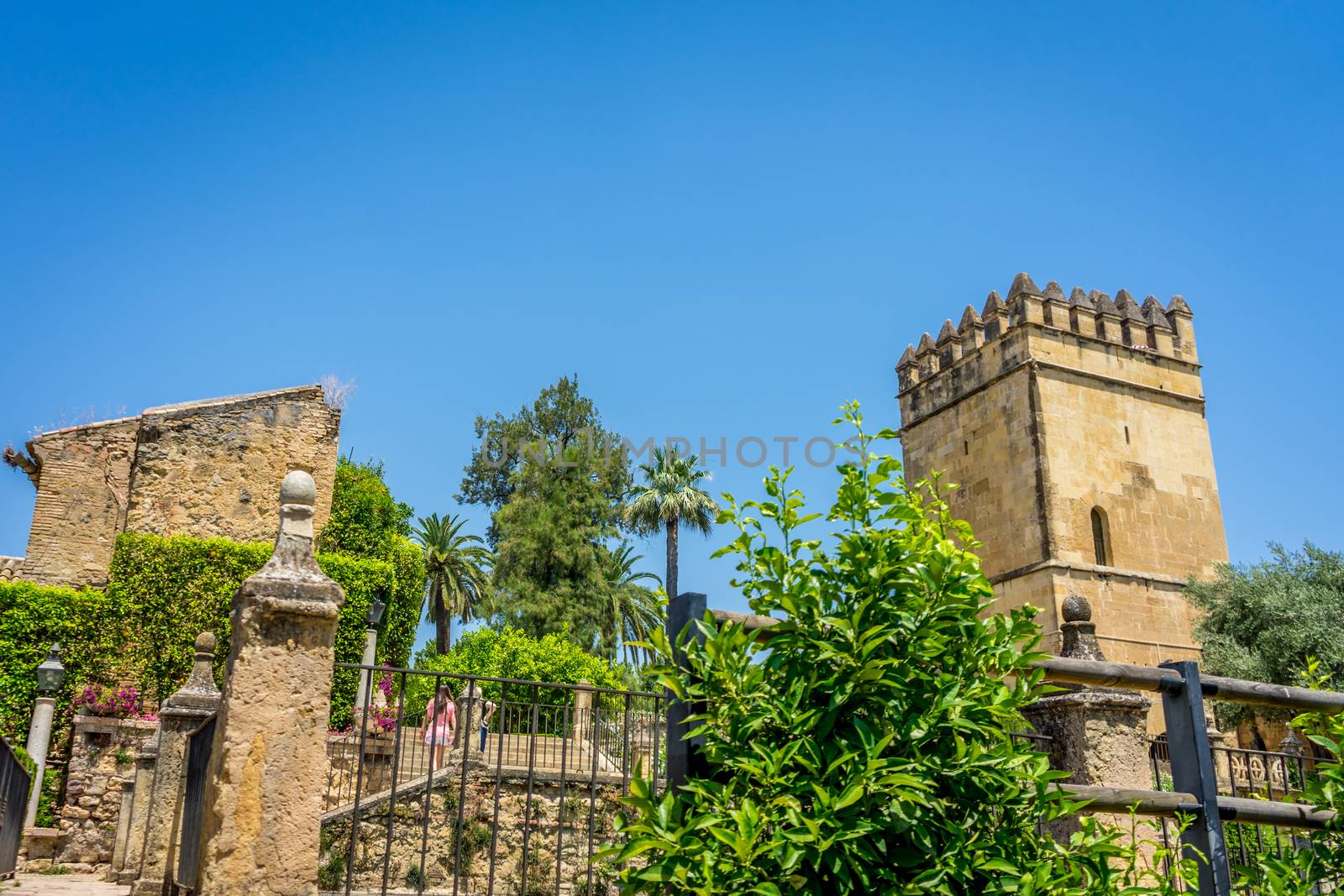 Ruins of a tower and a building of the Alcazar castle in Cordoba, Spain, Europe