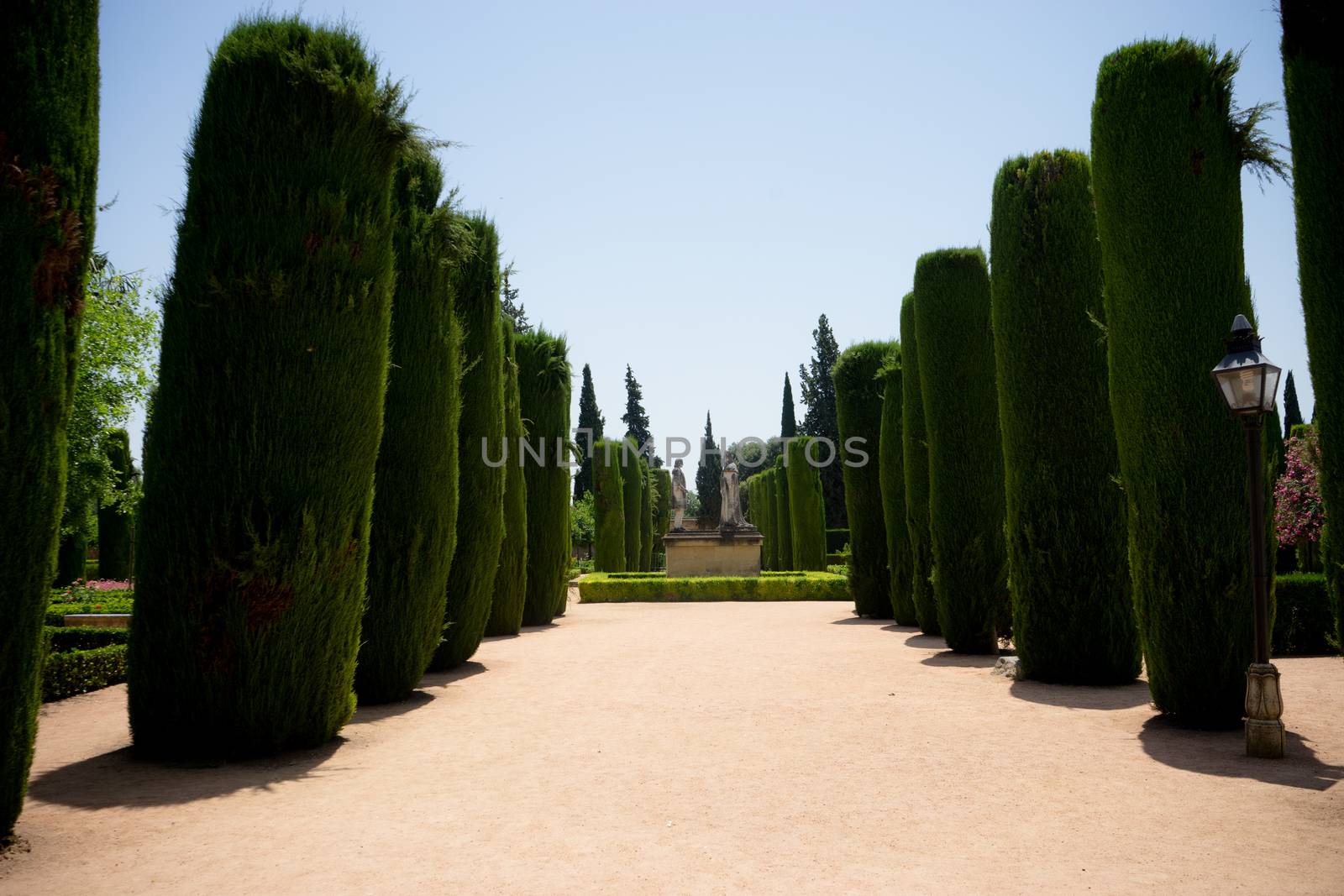 Jardins de l’Alcazar de Cordoue, Andalousie, Cordoba, Spain, E by ramana16