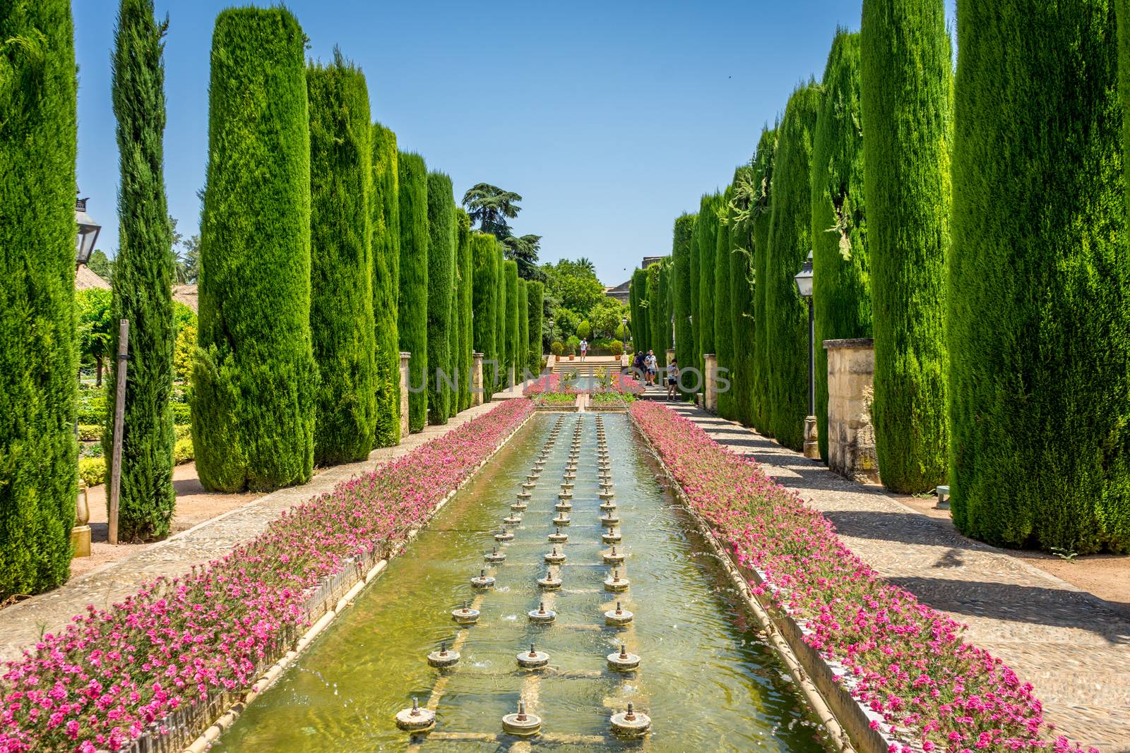 Tall trees and fountain in The jardines, royal garden of the Alc by ramana16