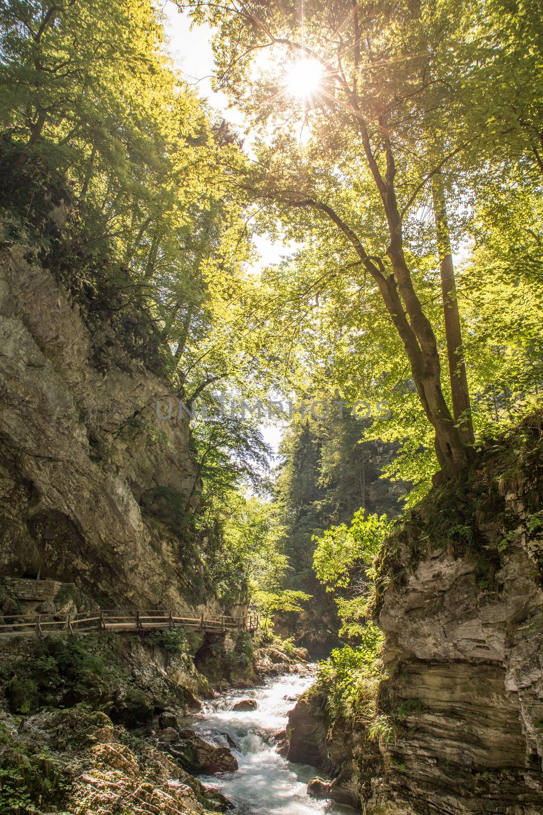The fabulous Vintgar Gorge in Slovenia near lake Bled by kasto