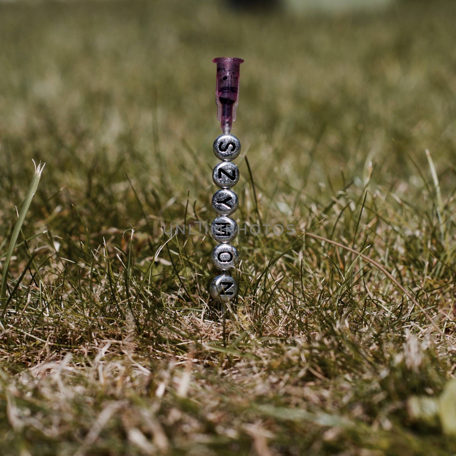 Small silver inscription on the needle. Szymon separate letters in green grass.