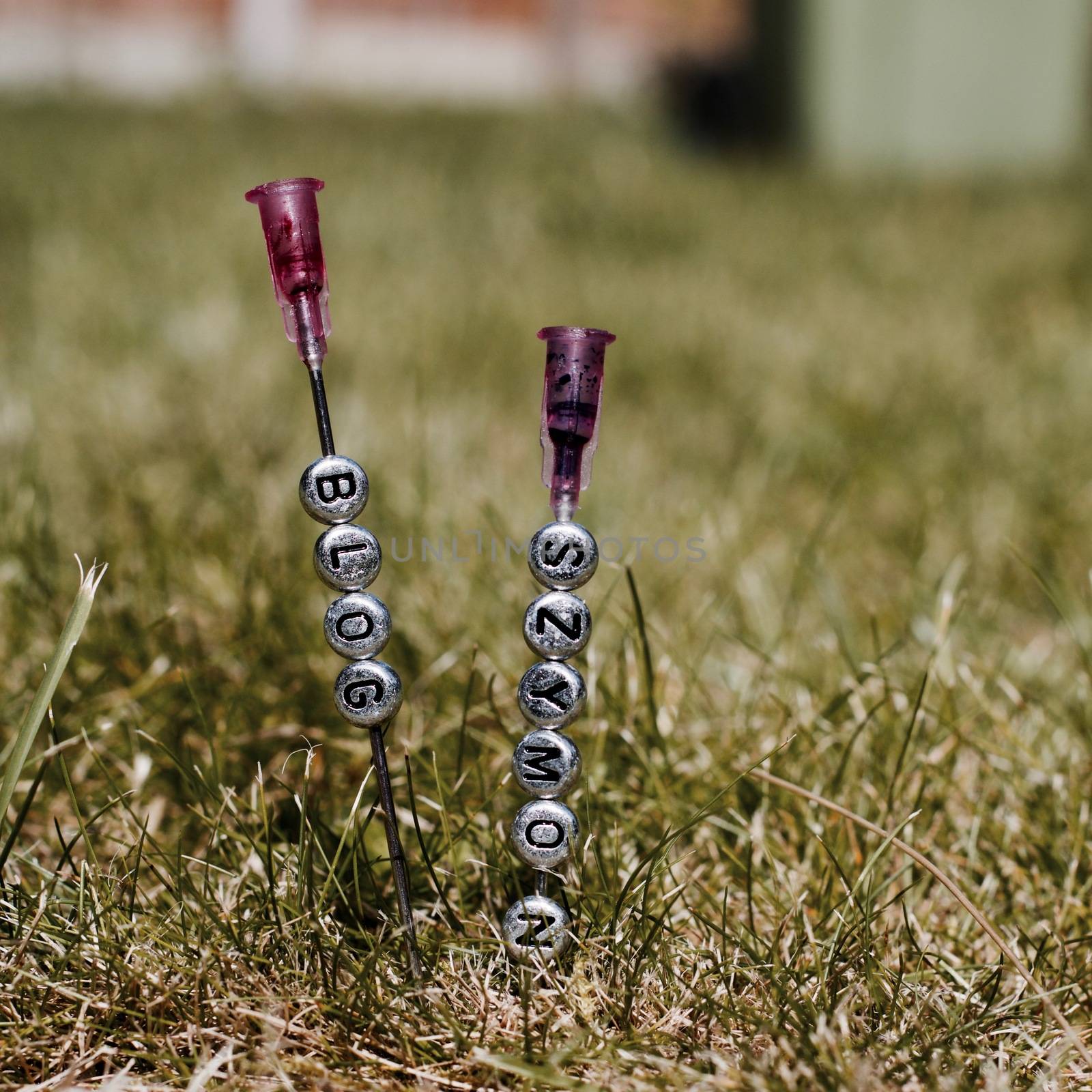 Small silver pins inscription on the needles. Szymon blog in green grass outdoor concept.