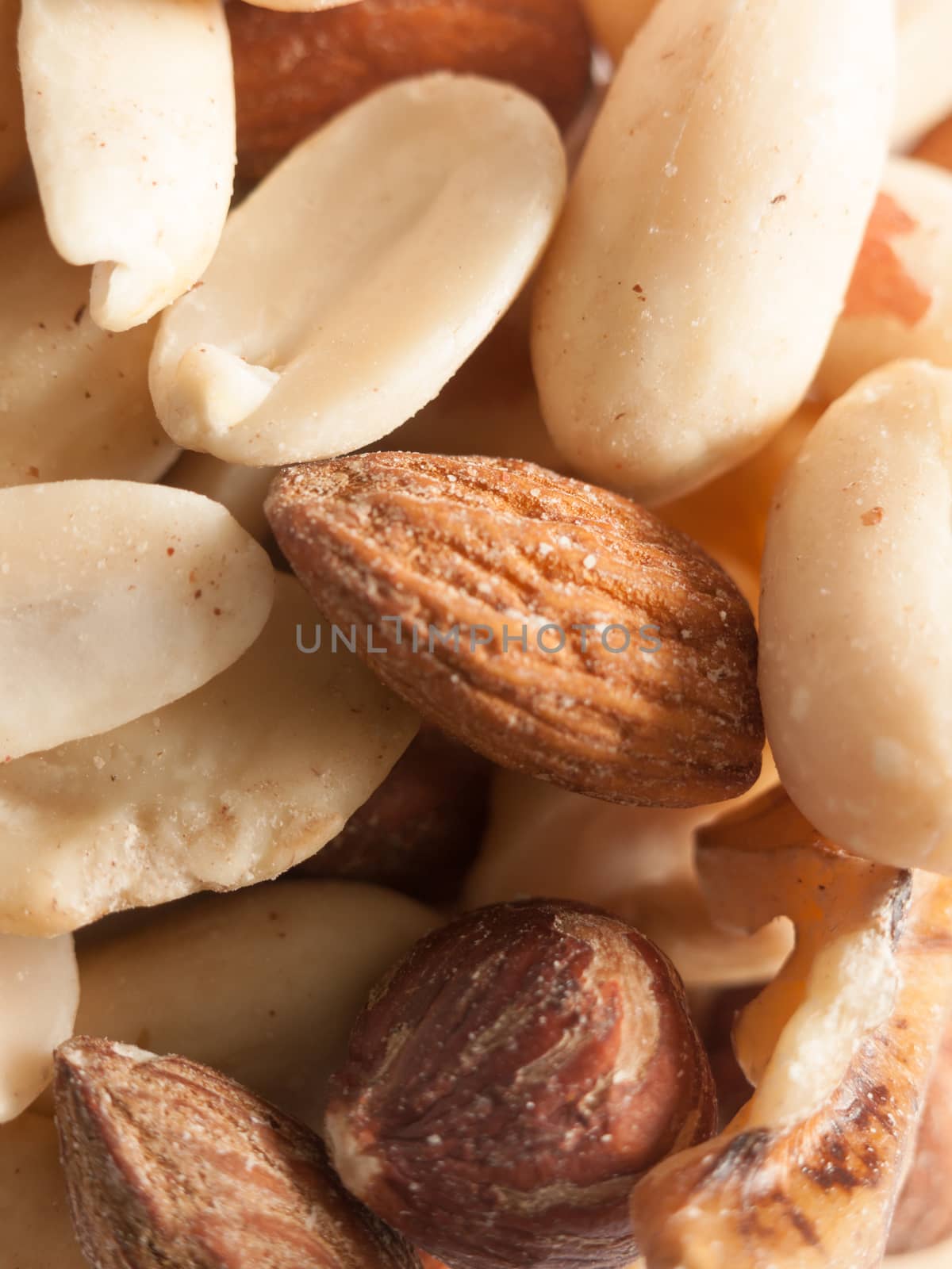 various nuts close up to eat round hazel almond