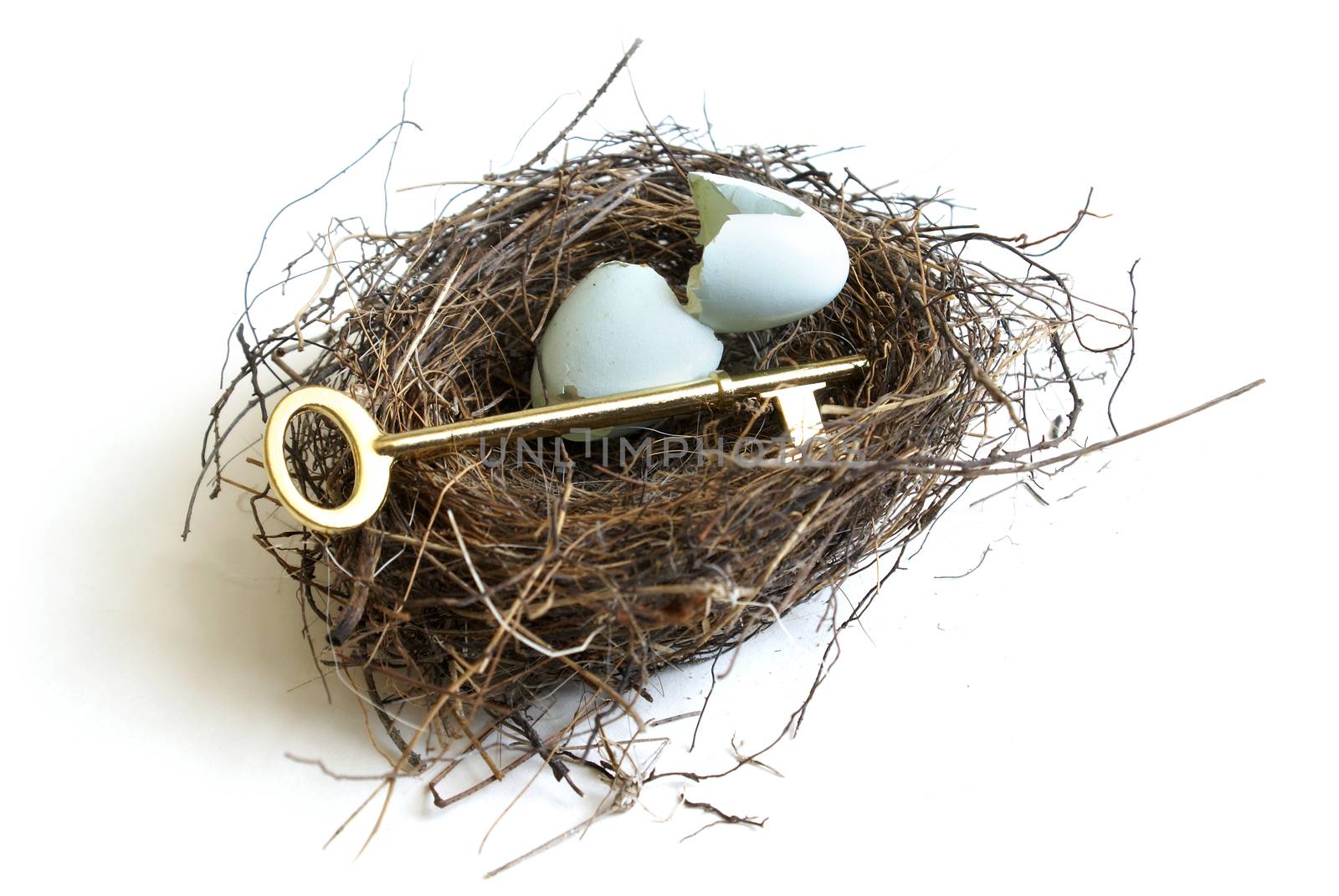 A golden key and nest egg to symbolize the secrets to a successful life.