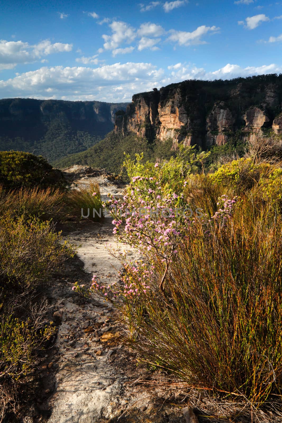 Views across the clifftops Blue Mountains Australia by lovleah