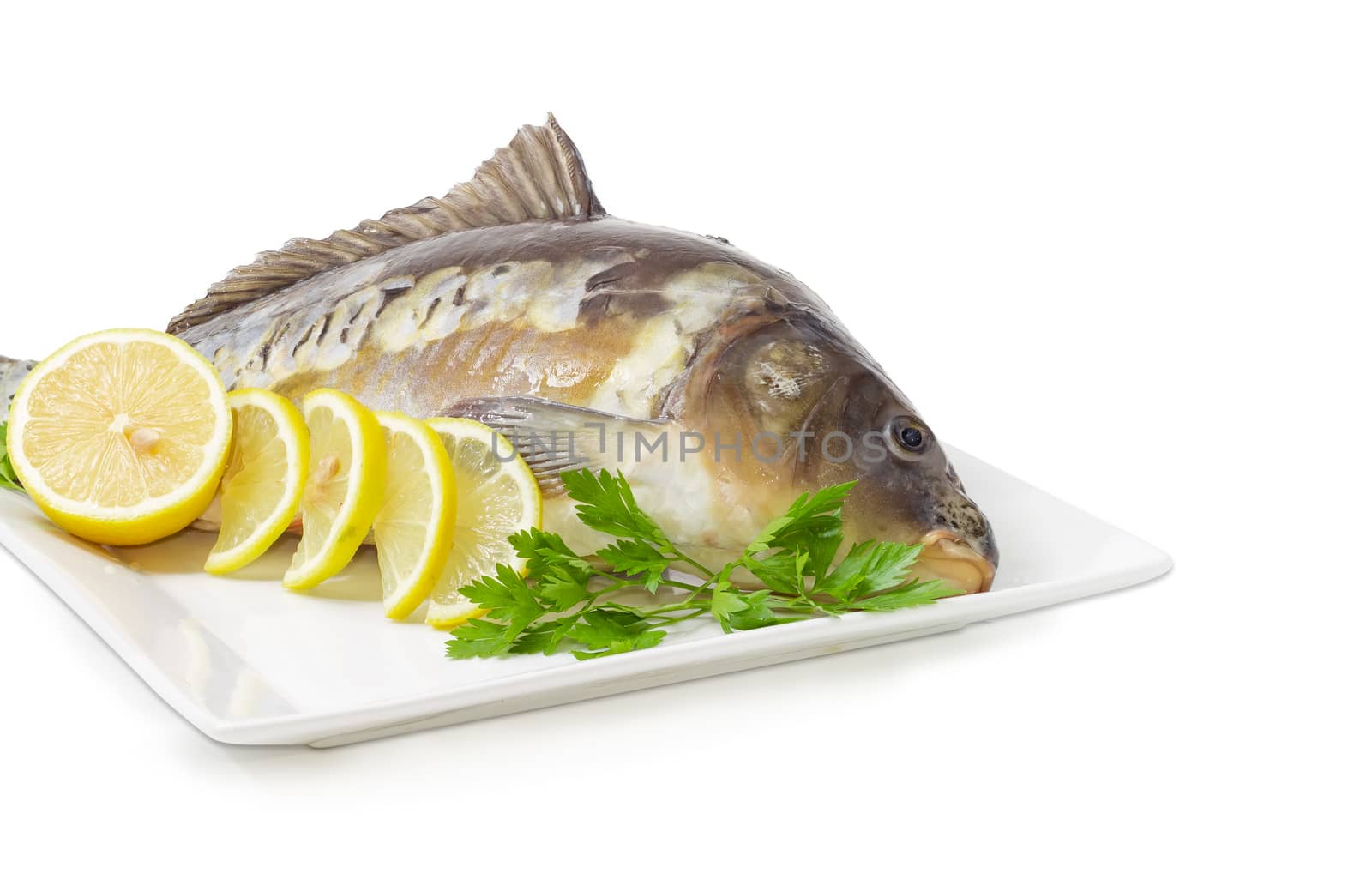 Fragment of the white square dish with mirror carp with peeled scales and prepared for cooking, parsley twigs and lemon slices on a white background
