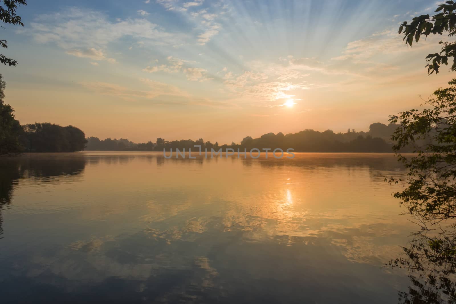 Sun and sky with clouds reflected in water of the pond, on a shores of which grow trees at sunrise  
