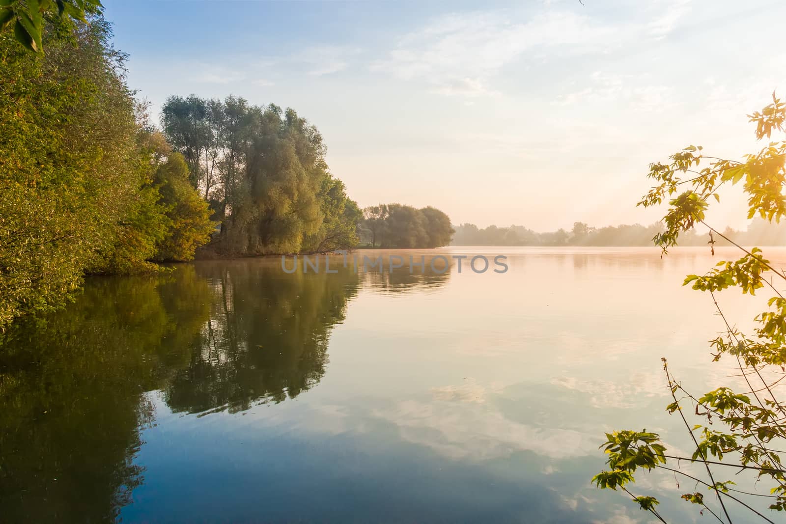 Sky with clouds reflected in water of the pond, on a shores of which grow trees at sunrise  
