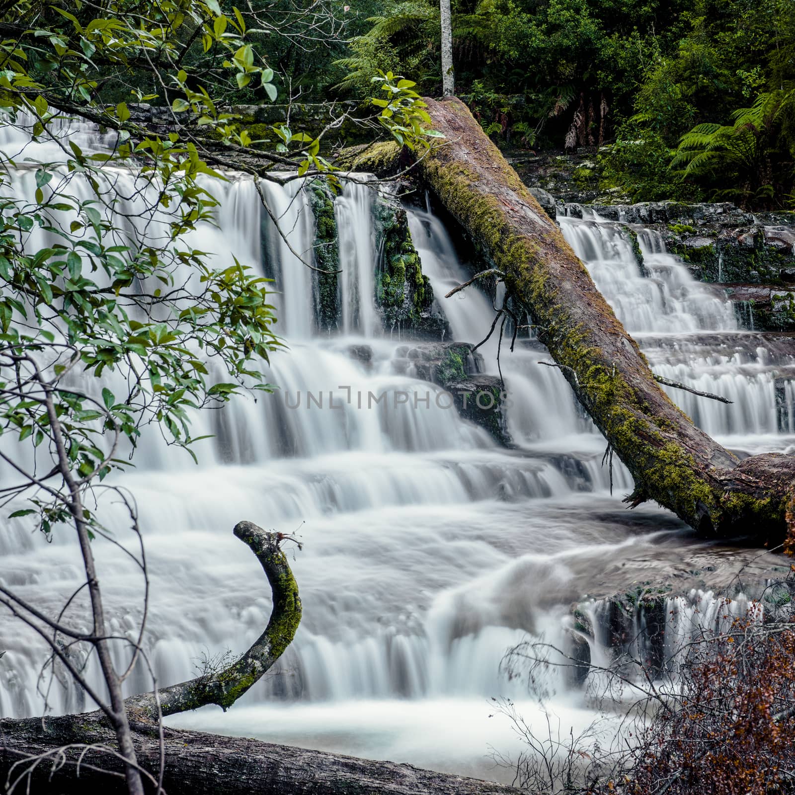 Beautiful Liffey Falls in the Midlands Region, Tasmania after heavy rain fall.