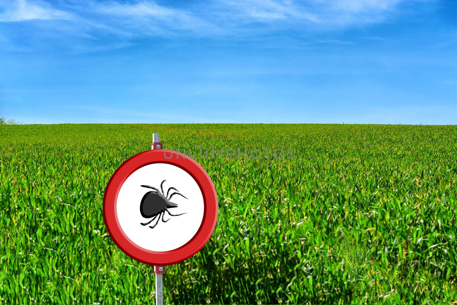 Borreliose and tick warning, round red warning sign with tick symbol in front of a green meadow.