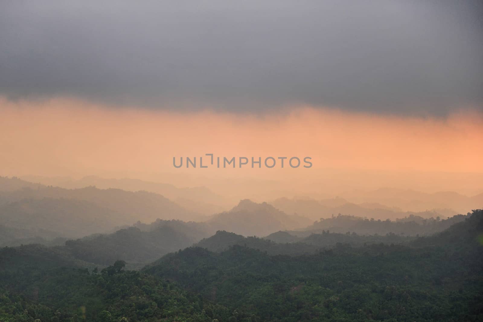 Morning fog in the mountain