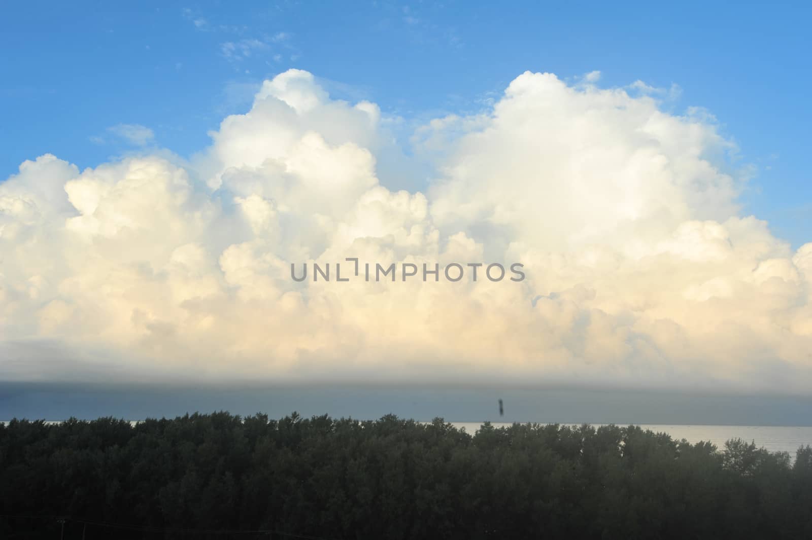 tropical sea under the blue sky with plam trees at fireground