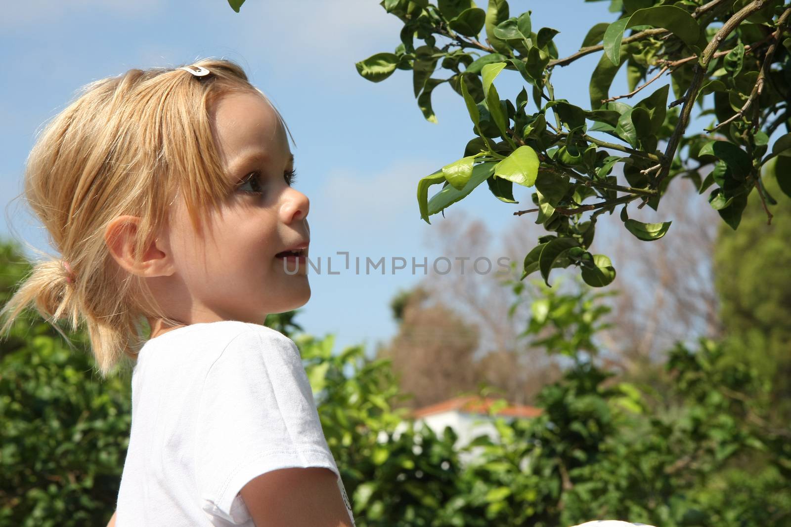 Portrait of cute baby girl watching leafage