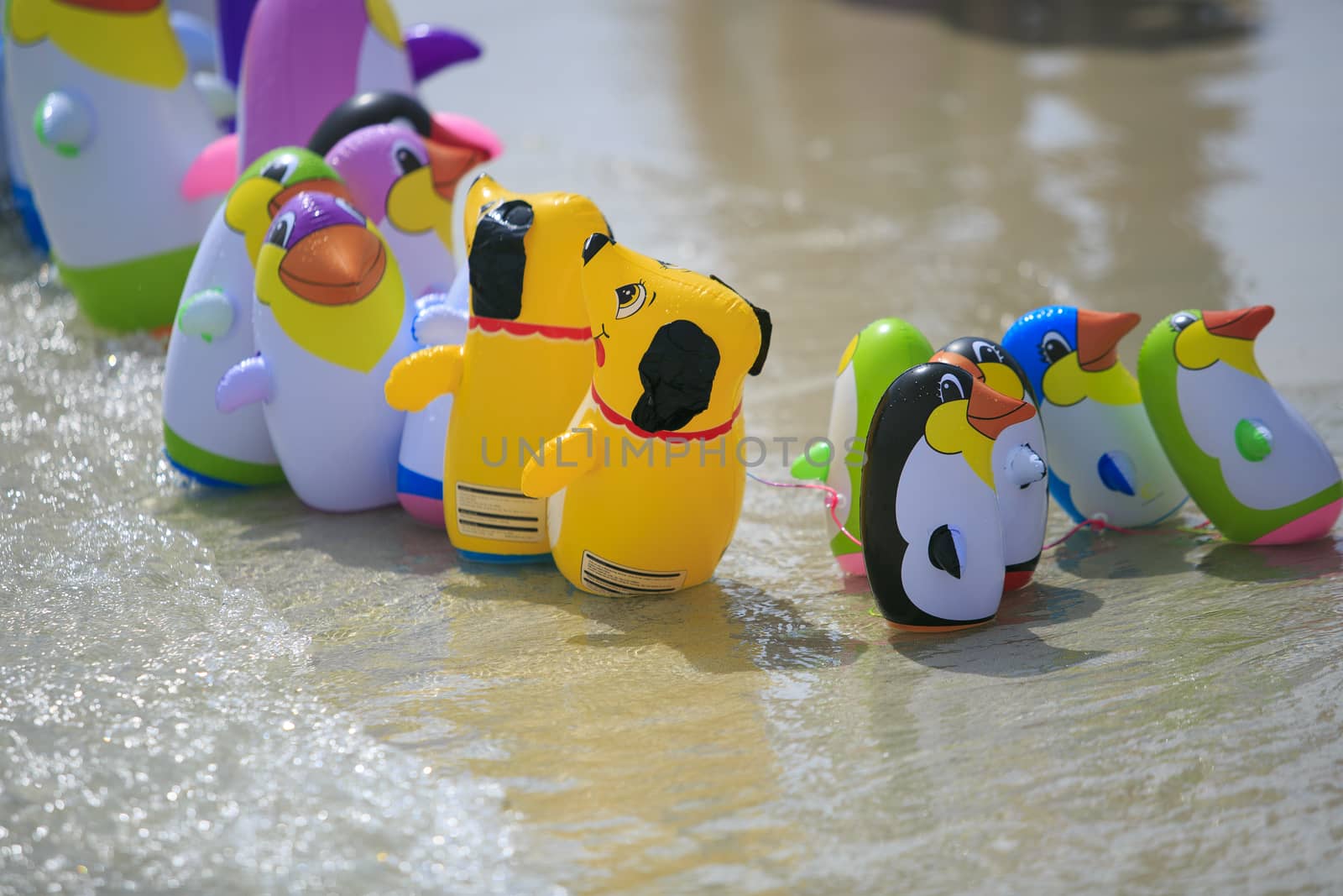 Inflated toy animals on the beach