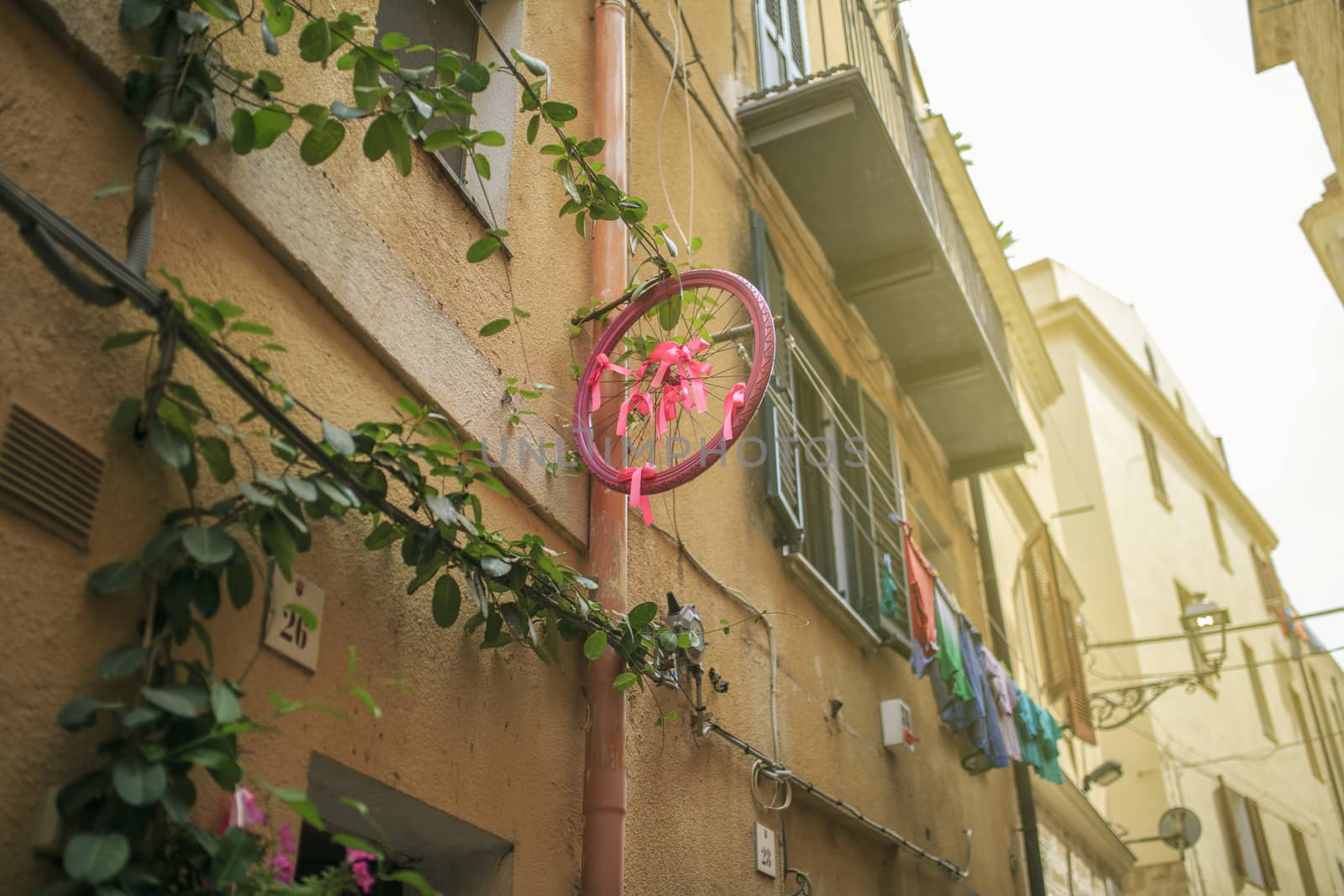 Pink bicycle wheel in  Alguero , sardinia, italy