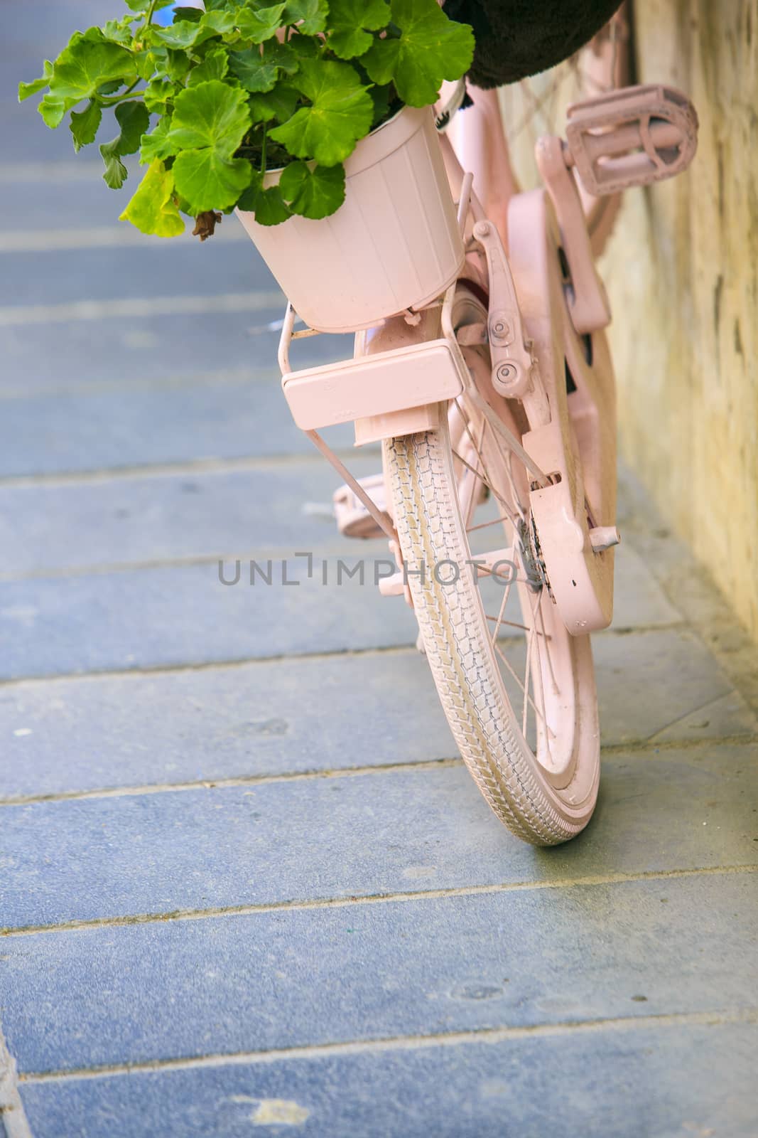 vintage Pink bicycle with basket of flowers