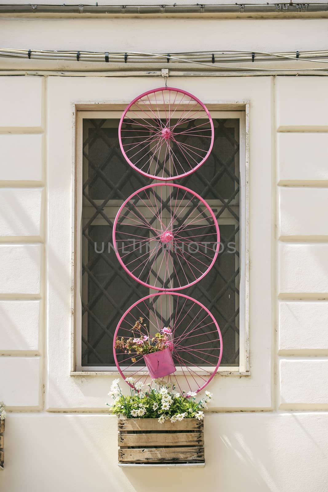 Pink bicycle wheel in  Alguero , sardinia, italy