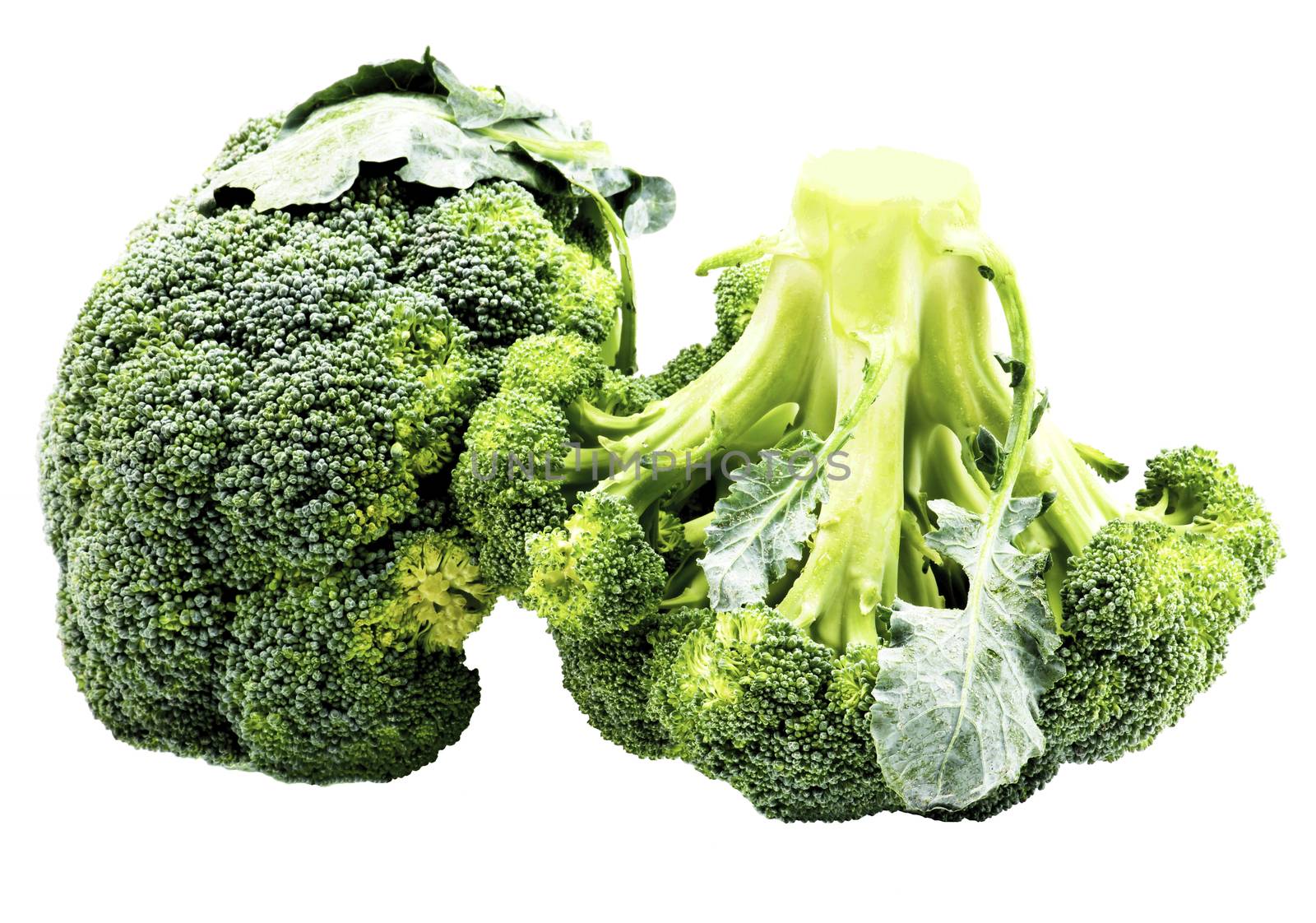 Two Raw Broccoli by zhekos