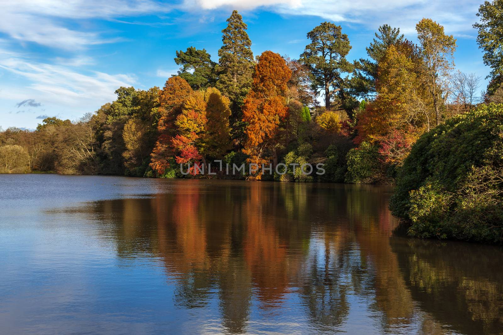 Sheffield Park Gardens in Autumn