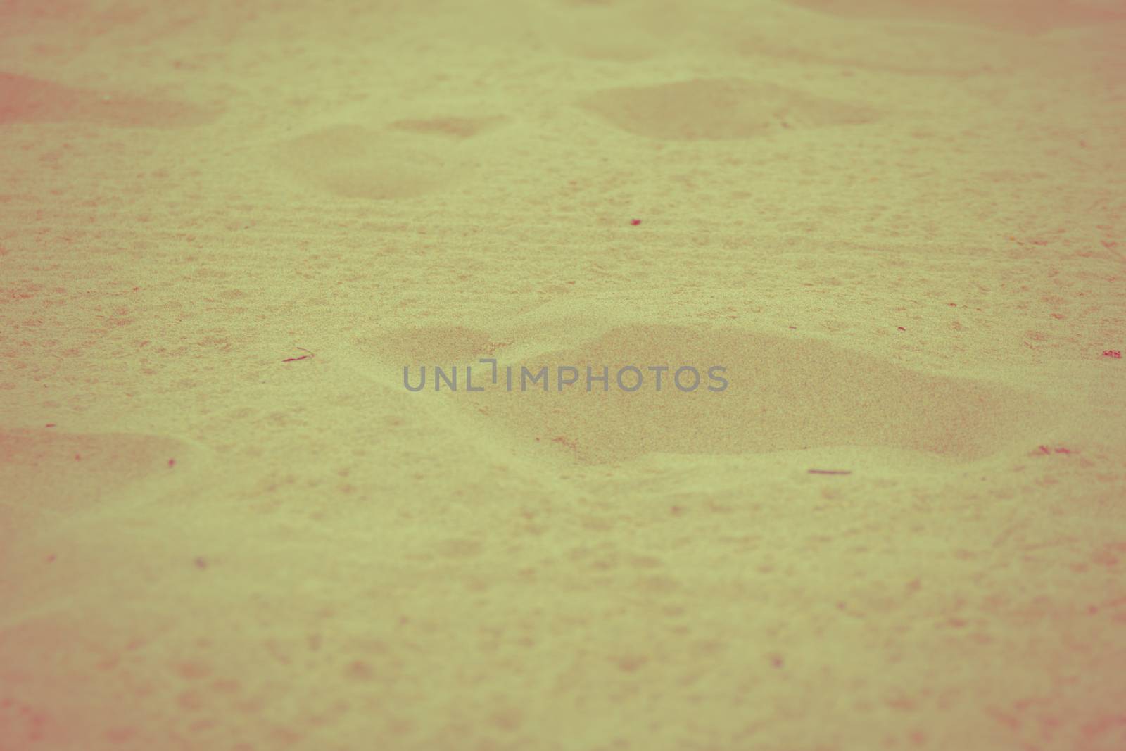 Footprints in the sand.