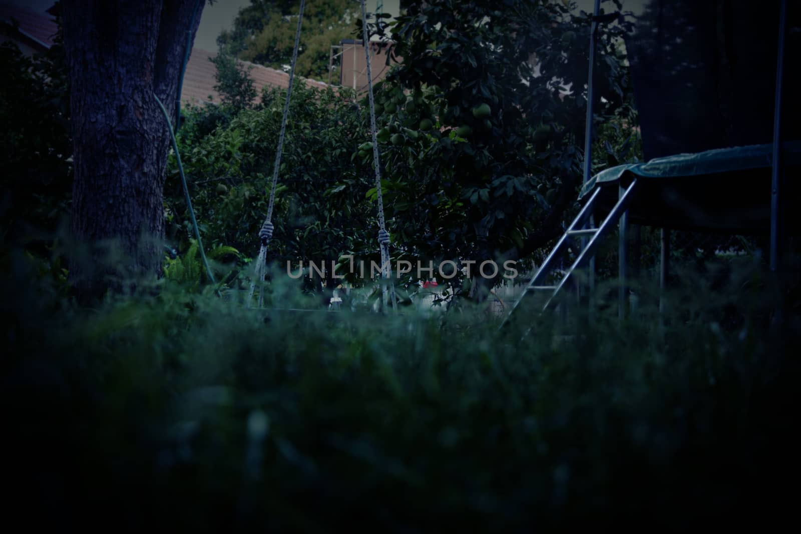 Abandoned swing hidden behind the grass in the park.
A dark and mysterious atmosphere.