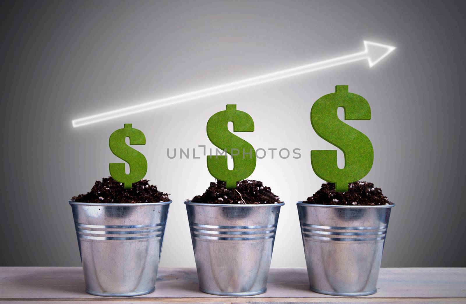 Arrow pointing upwards with different phases of dollar growth in plant pots 