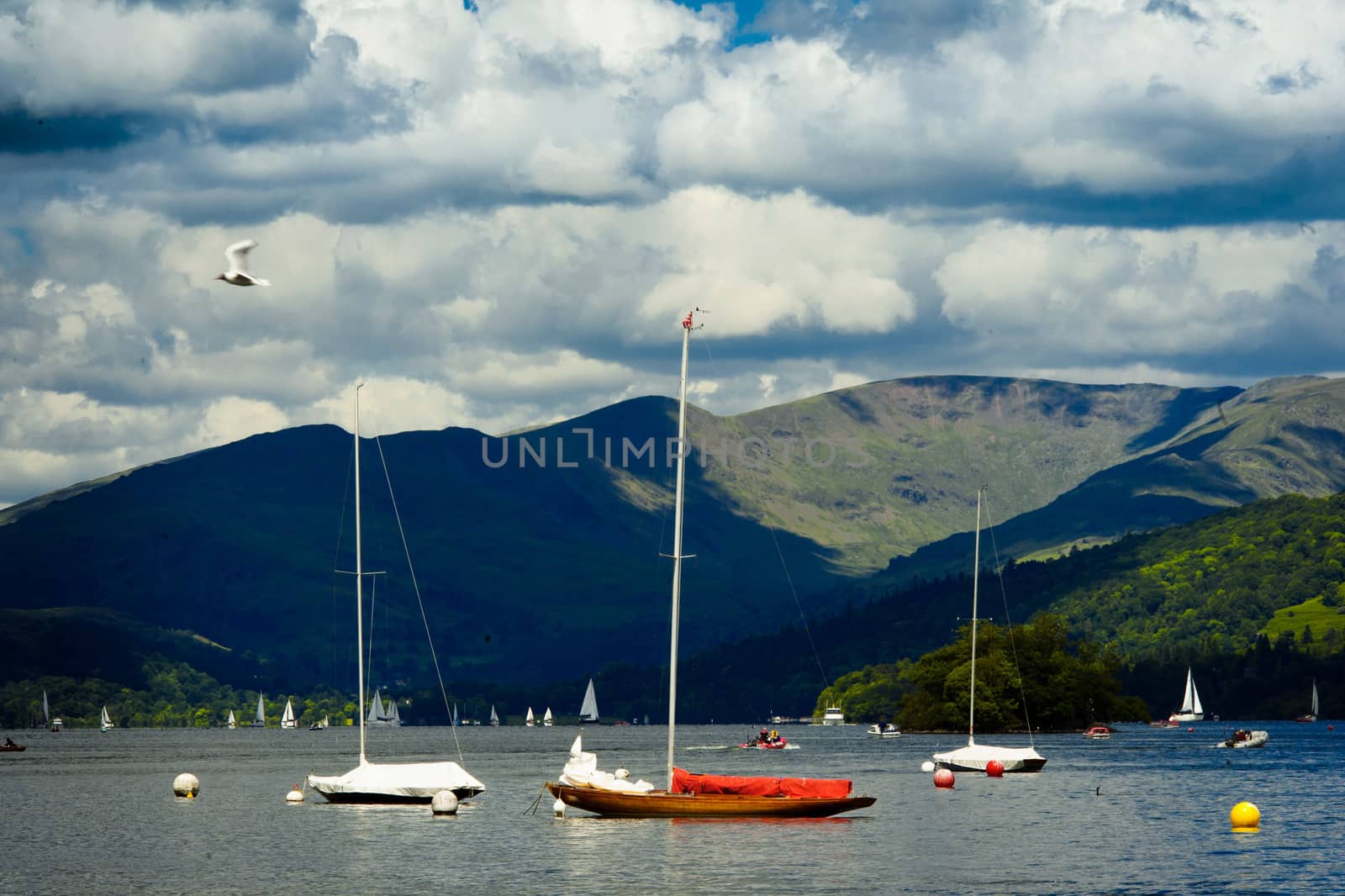 boats sailing in good weather
