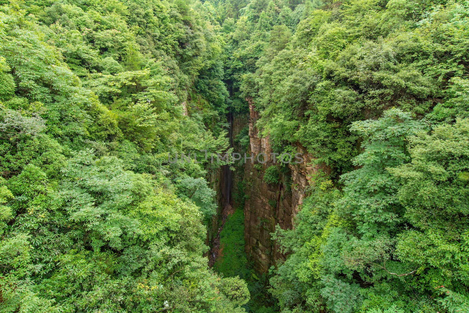 Zhangjiajie National forest park at Wulingyuan Hunan China.