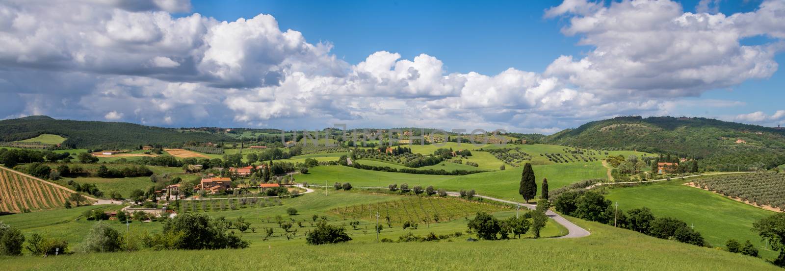 Countryside of Val d'Orcia in Tuscany by phil_bird
