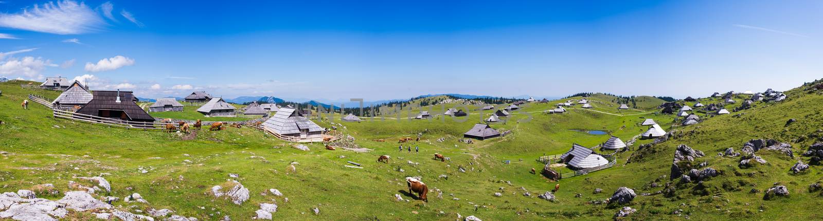 Velika planina plateau, Slovenia, Mountain village in Alps, wooden houses in traditional style, popular hiking destination, XXL size panorama by asafaric
