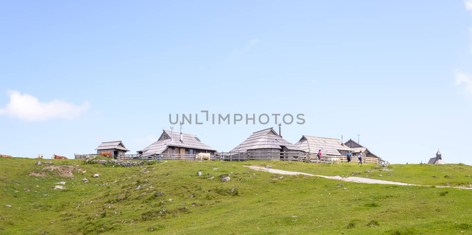 Velika planina plateau, Slovenia, Mountain village in Alps, wooden houses in traditional style, popular hiking destination by asafaric