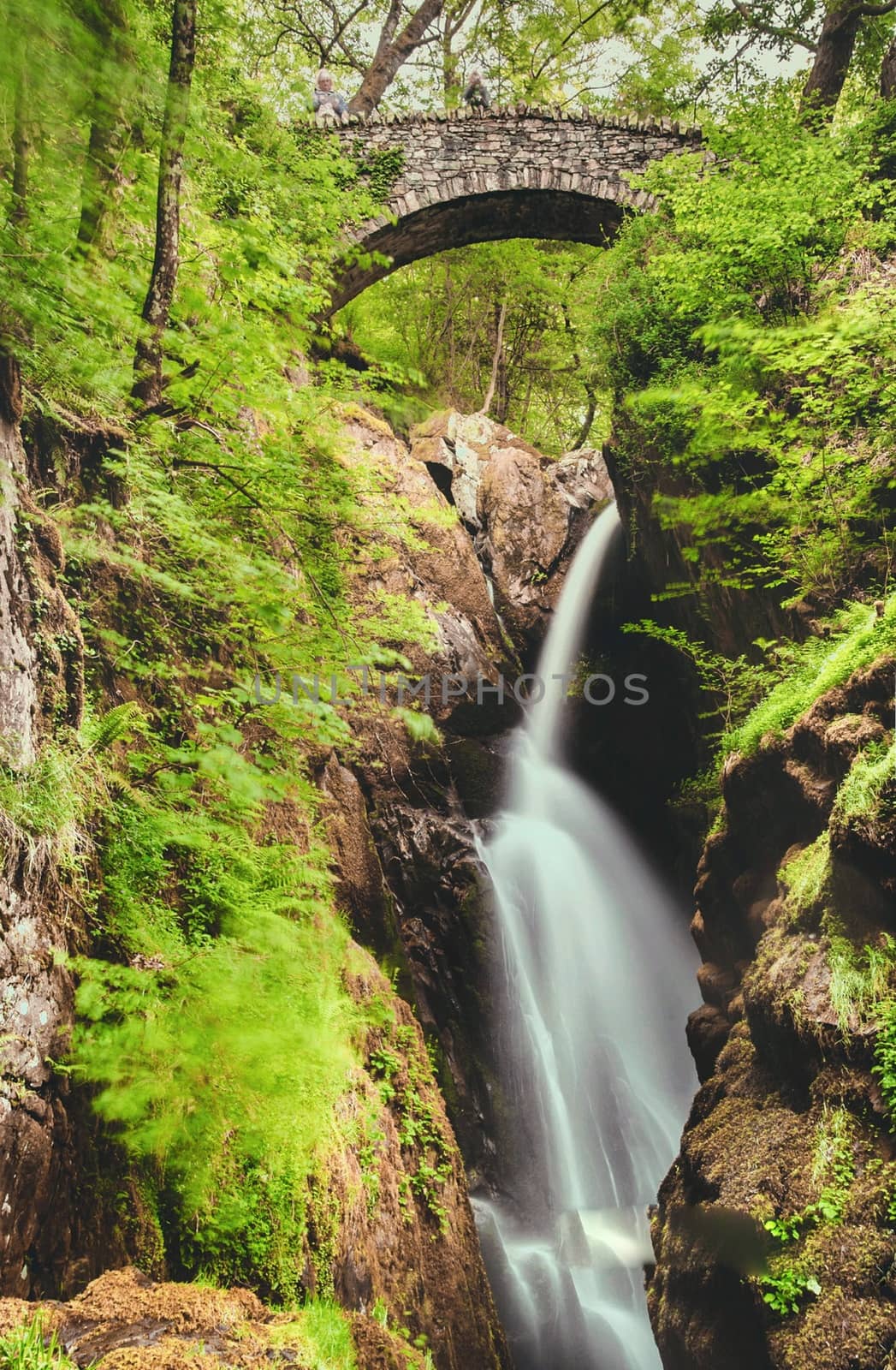 famous Aira Force waterfall on Aira Beck river in Lake District Cumbria in UK