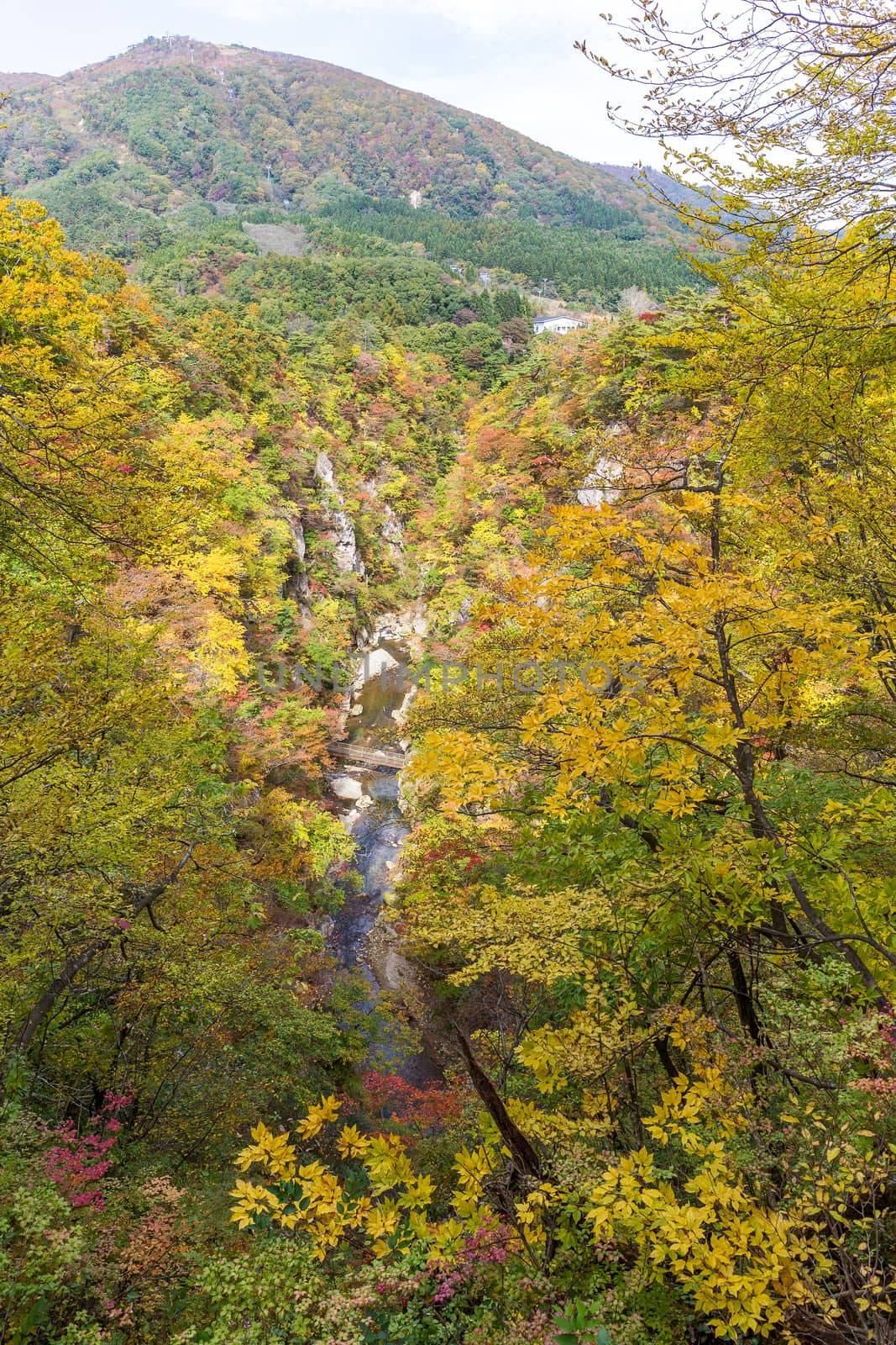 Naruko canyon in autumn by leungchopan