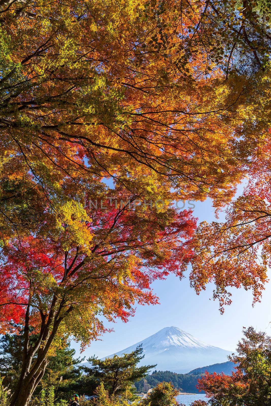 Mount Fuji in Autumn season of Japan by leungchopan