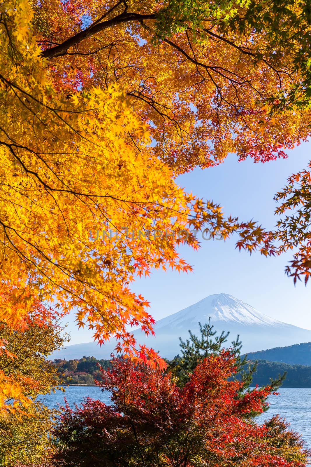 Mountain Fuji in autumn season by leungchopan