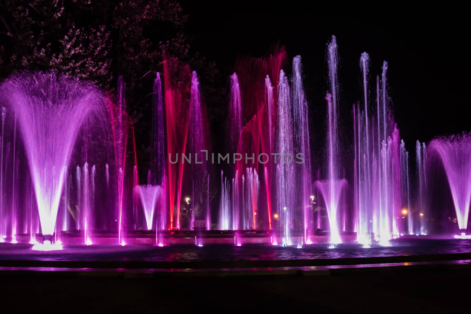 Colorful musical fountain in Margaret Island, Budapest, Hungary at night
