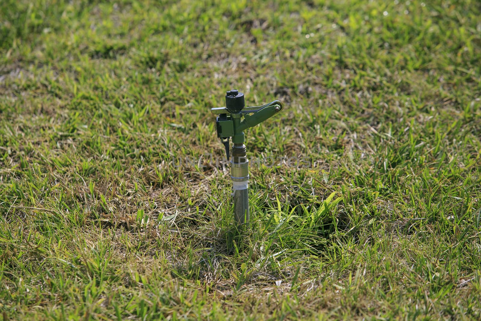System of irrigation of grass
