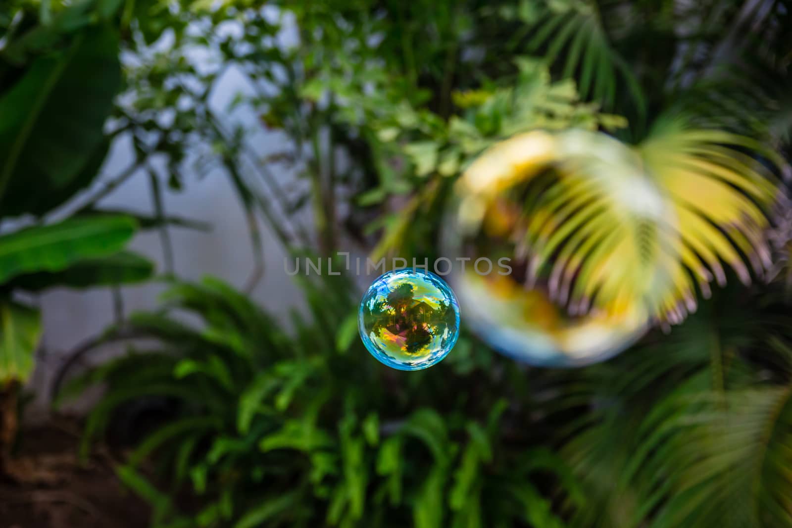 Soap bubbles fly in the garden.